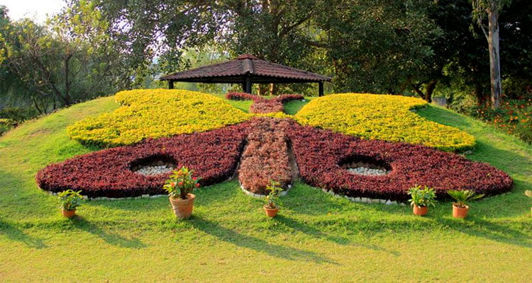 Butterfly Park, Chandigarh