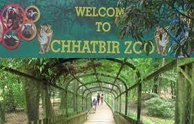 Chhatbir Zoo, Chandigarh